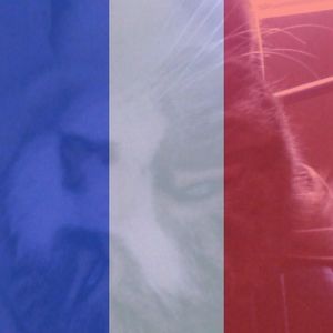 Meet your Posher, Sheila