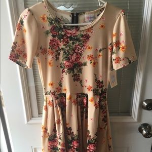 BNWT XS FLORAL AMELIA MADE BY LULAROE
