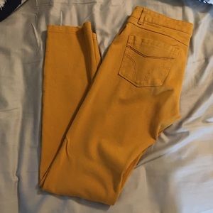 Mustard jeggings