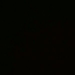 Meet your Posher, Claudia