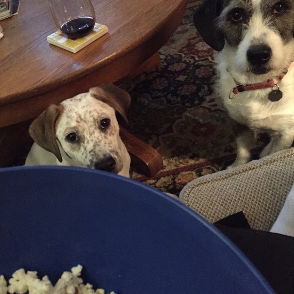 Meet your Posher, Linda