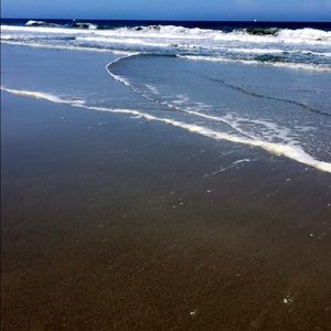 Meet your Posher, Cassidy