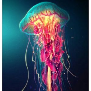 Meet your Posher, Piper