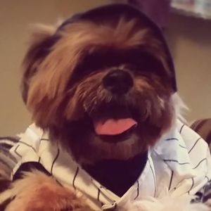 Meet your Posher, Arelys