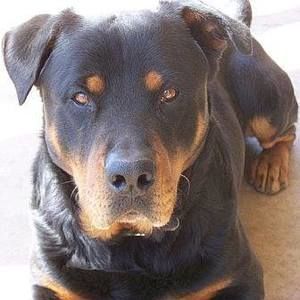 Meet your Posher, Brandy