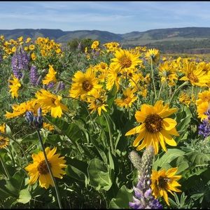 Meet your Posher, Kayce