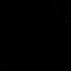 Meet your Posher, Paula