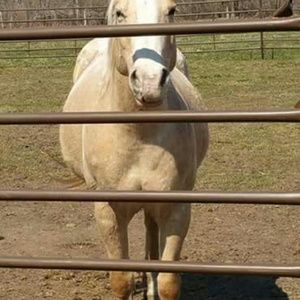 Meet your Posher, Corey