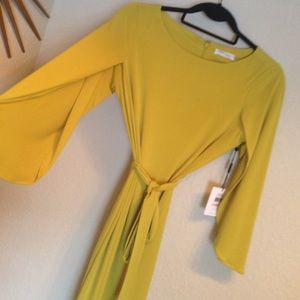 NWT Calvin Klein Dress - Sz 2 Mustard Color