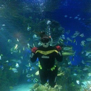 Meet your Posher, Angela