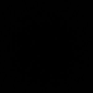 Meet your Posher, Lynzee