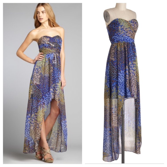 Aviary Gala Dress by Max and Cleo