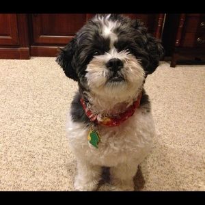 Meet your Posher, Jackie