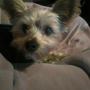 Meet your Posher, Heather