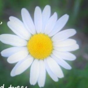 Meet your Posher, Judith