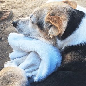 Meet your Posher, Katherine