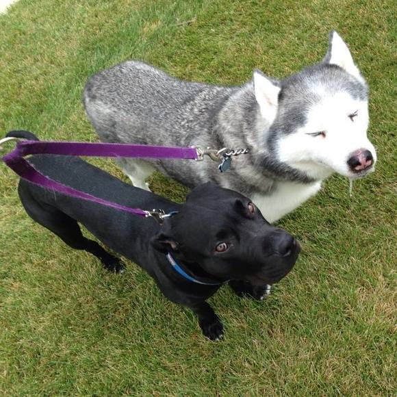 Meet your Posher, Tina - Picture 1 of 1