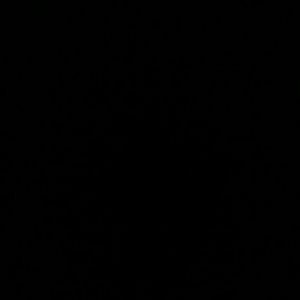 Meet your Posher, Patty