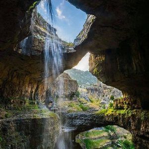 Meet your Posher, Brie