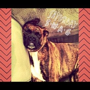 Meet your Posher, Staci