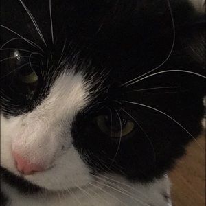 Meet your Posher, Jolie