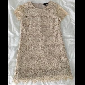 Lace Dress
