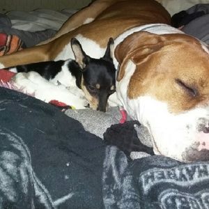 Meet your Posher, Carla