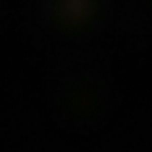 Meet your Posher, Sammy