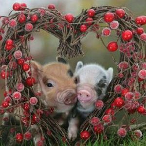 Meet your Posher, Glenda