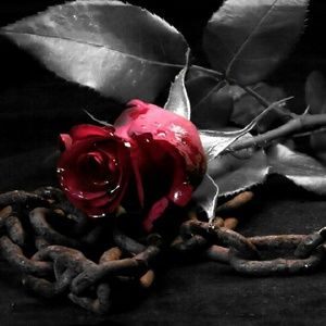 Meet your Posher, Lusine