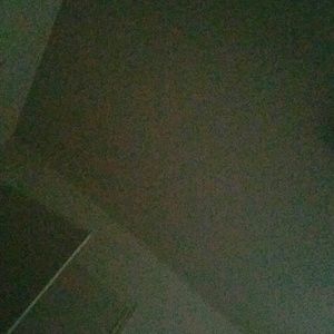 Meet your Posher, Precious