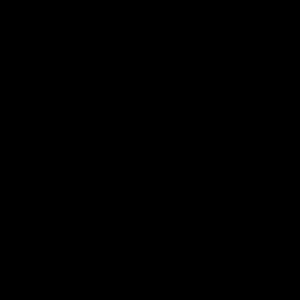 Meet your Posher, Joy