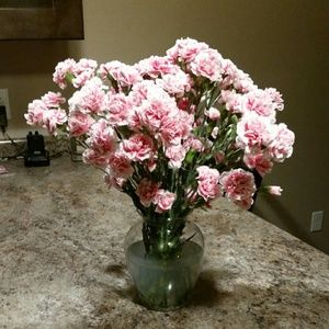 Meet your Posher, Darlene