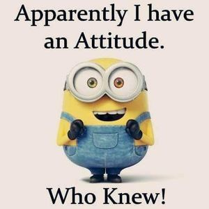 Meet your Posher, Cari