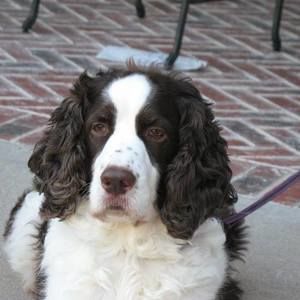 Meet your Posher, Denise