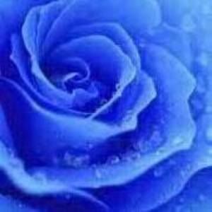 Meet your Posher, Maureen