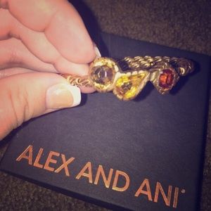Alex and Ani gemstone wrap bracelet