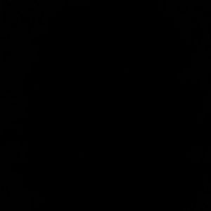 Meet your Posher, Franci