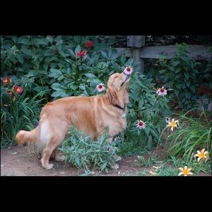 Meet your Posher, Cassie