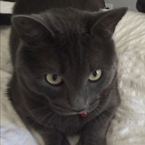 Meet your Posher, Paula