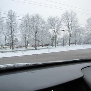 Meet your Posher, Furlecchia