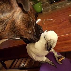 Meet your Posher, Margery