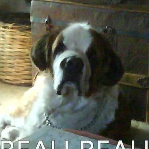 Meet your Posher, Lorey