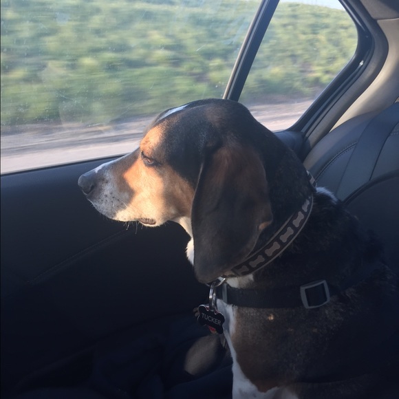 Meet your Posher, Cristin - Picture 1 of 1