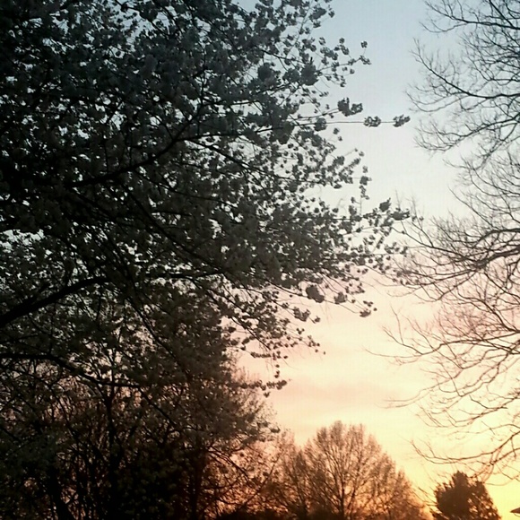 Meet your Posher, Adeline