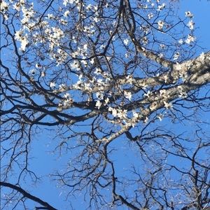 Meet your Posher, Eve