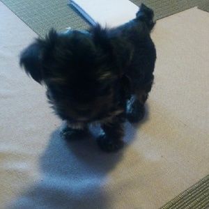 Meet your Posher, Ana