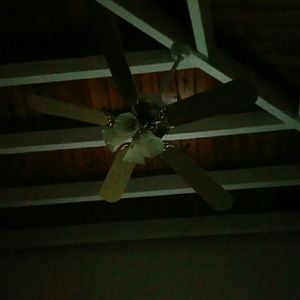 Meet your Posher, Kalayar