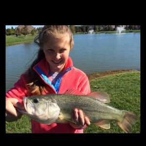 Meet your Posher, Jillian