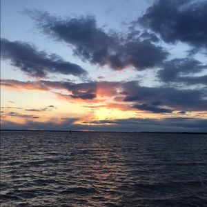 Meet your Posher, Tabitha